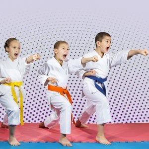 Martial Arts Lessons for Kids in Forney TX - Punching Focus Kids Sync